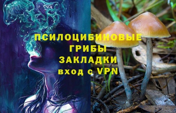 крисы Липки