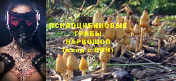 PSILOCYBIN Лихославль