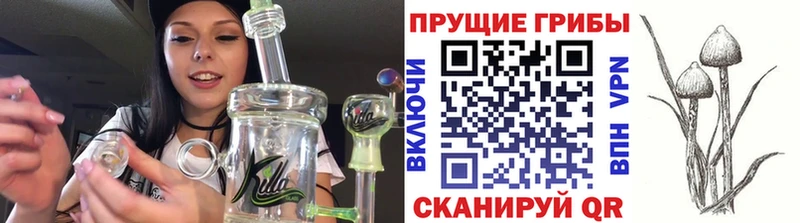 где купить наркоту  Могоча  Псилоцибиновые грибы ЛСД 